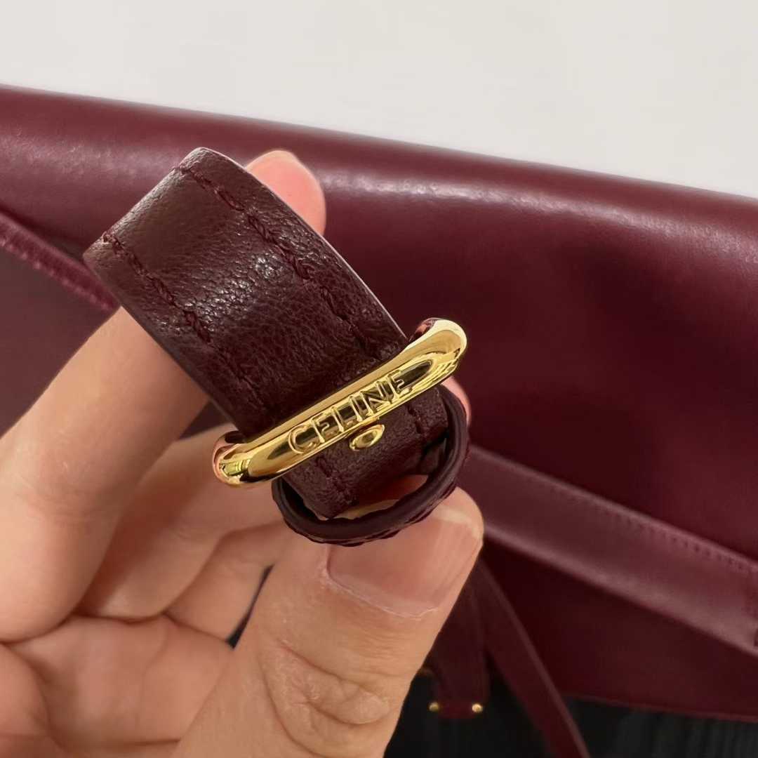 Celine Soft Triomphe Besace In Supple Shiny Lambskin view 7