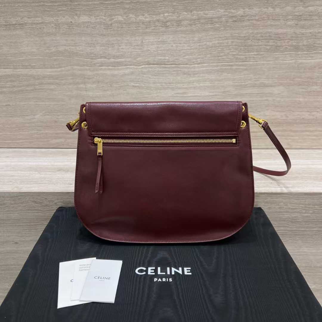 Celine Soft Triomphe Besace In Supple Shiny Lambskin view 10
