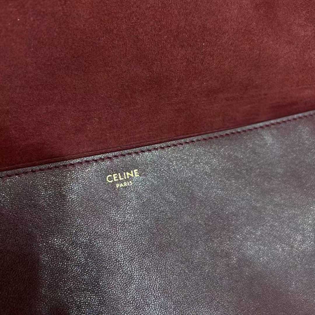 Celine Soft Triomphe Besace In Supple Shiny Lambskin view 13
