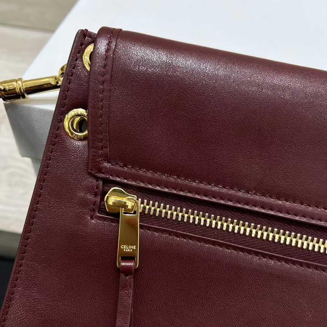 Celine Soft Triomphe Besace In Supple Shiny Lambskin view 16