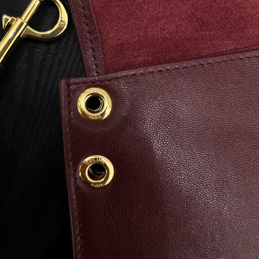 Celine Soft Triomphe Besace In Supple Shiny Lambskin view 17