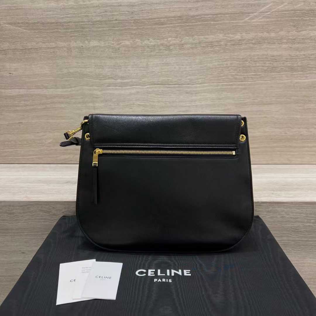 Celine Soft Triomphe Besace In Supple Shiny Lambskin view 2