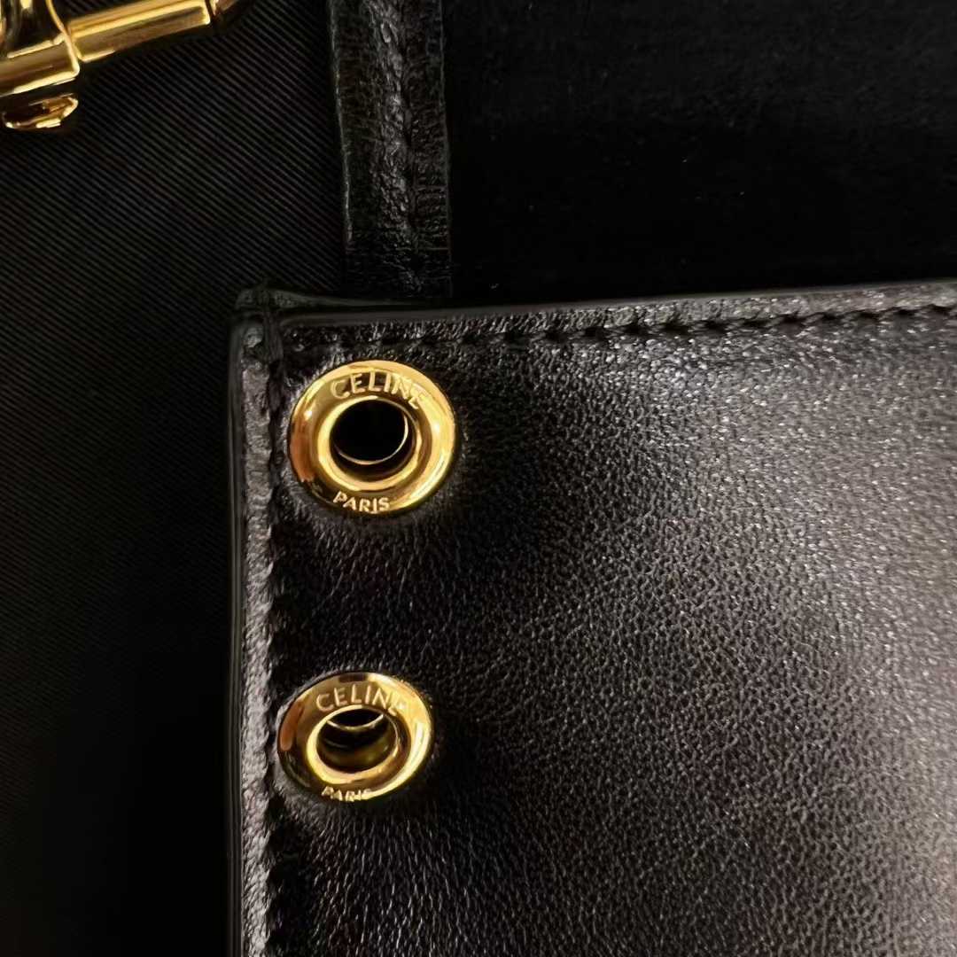 Celine Soft Triomphe Besace In Supple Shiny Lambskin view 7