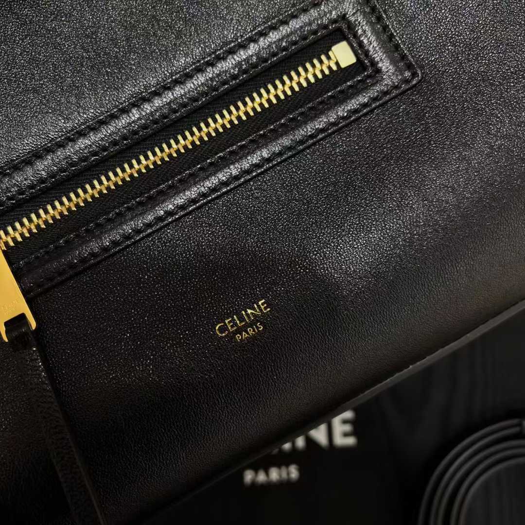 Celine Medium New Luggage In Supple Shiny Lambskin view 4