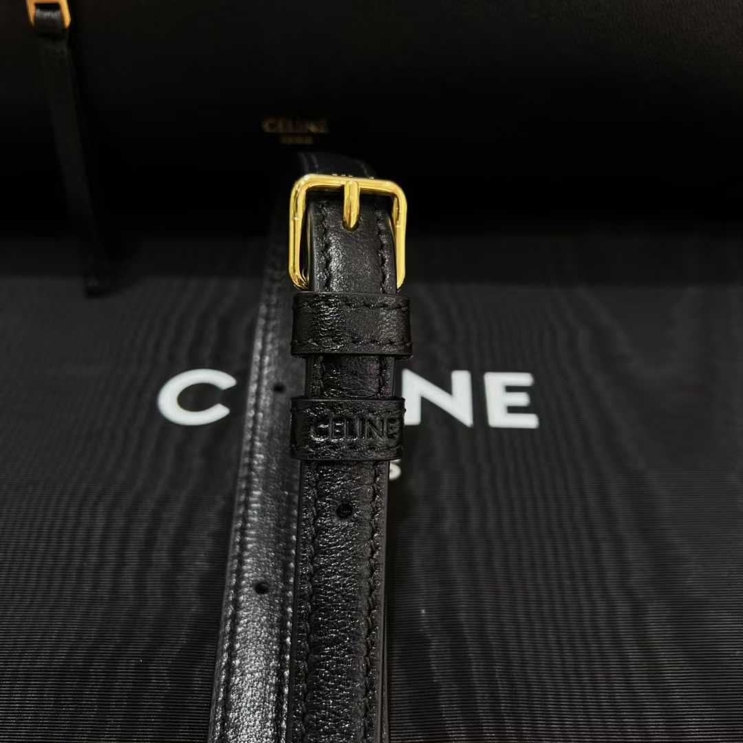 Celine Medium New Luggage In Supple Shiny Lambskin view 7
