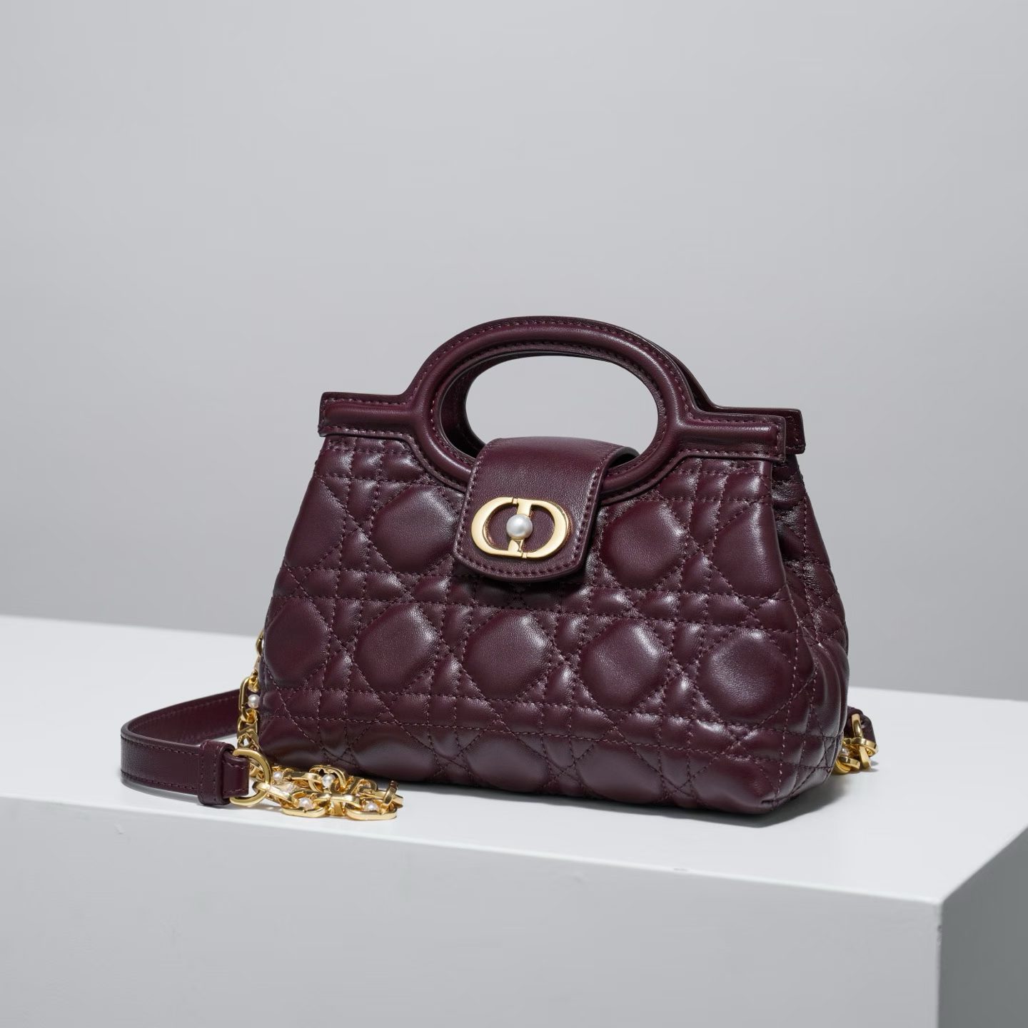 Dior Jolie Top Handle Mini Bag view 19