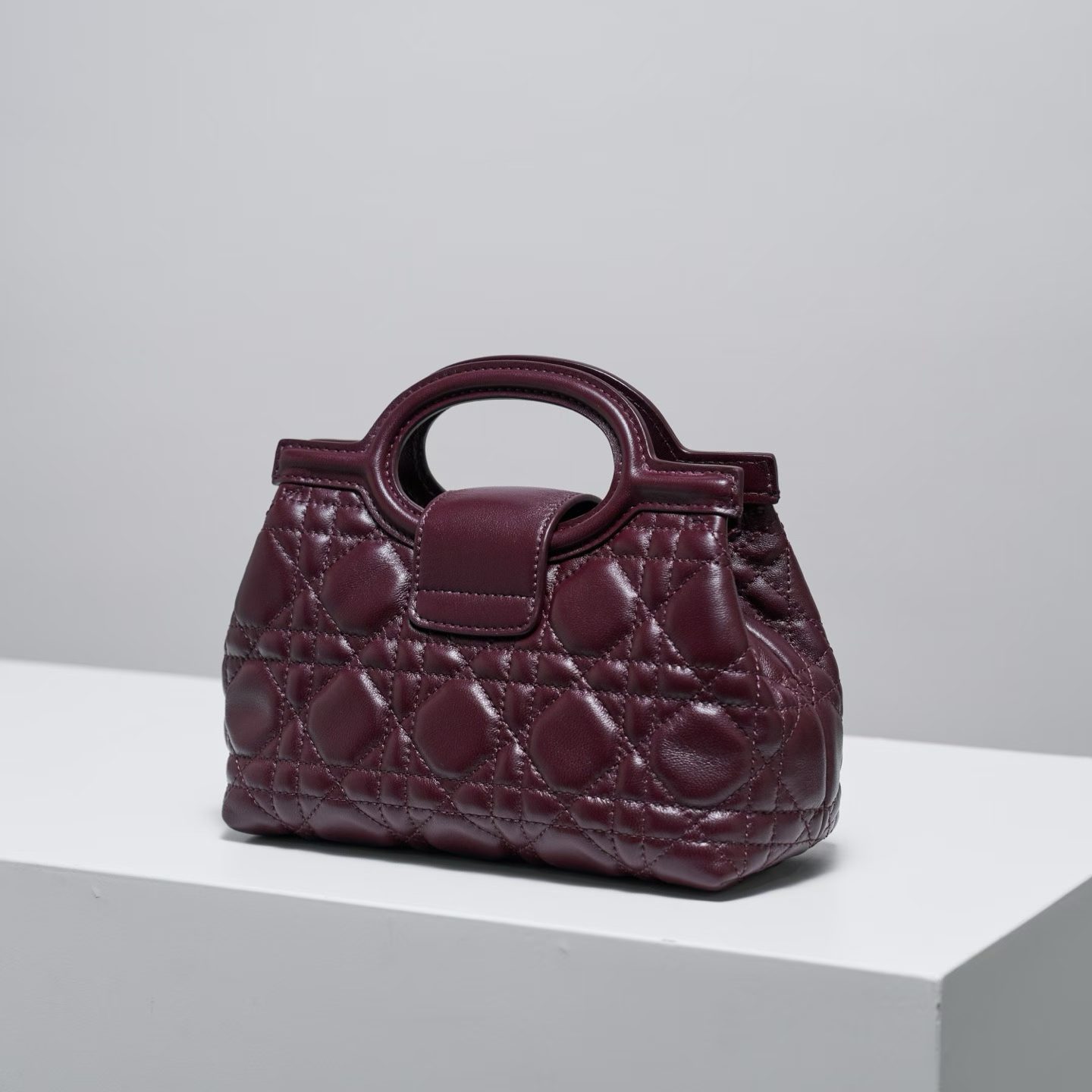 Dior Jolie Top Handle Mini Bag view 20