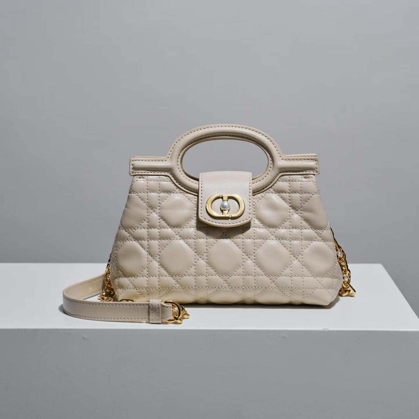 Dior Jolie Top Handle Mini Bag view 21