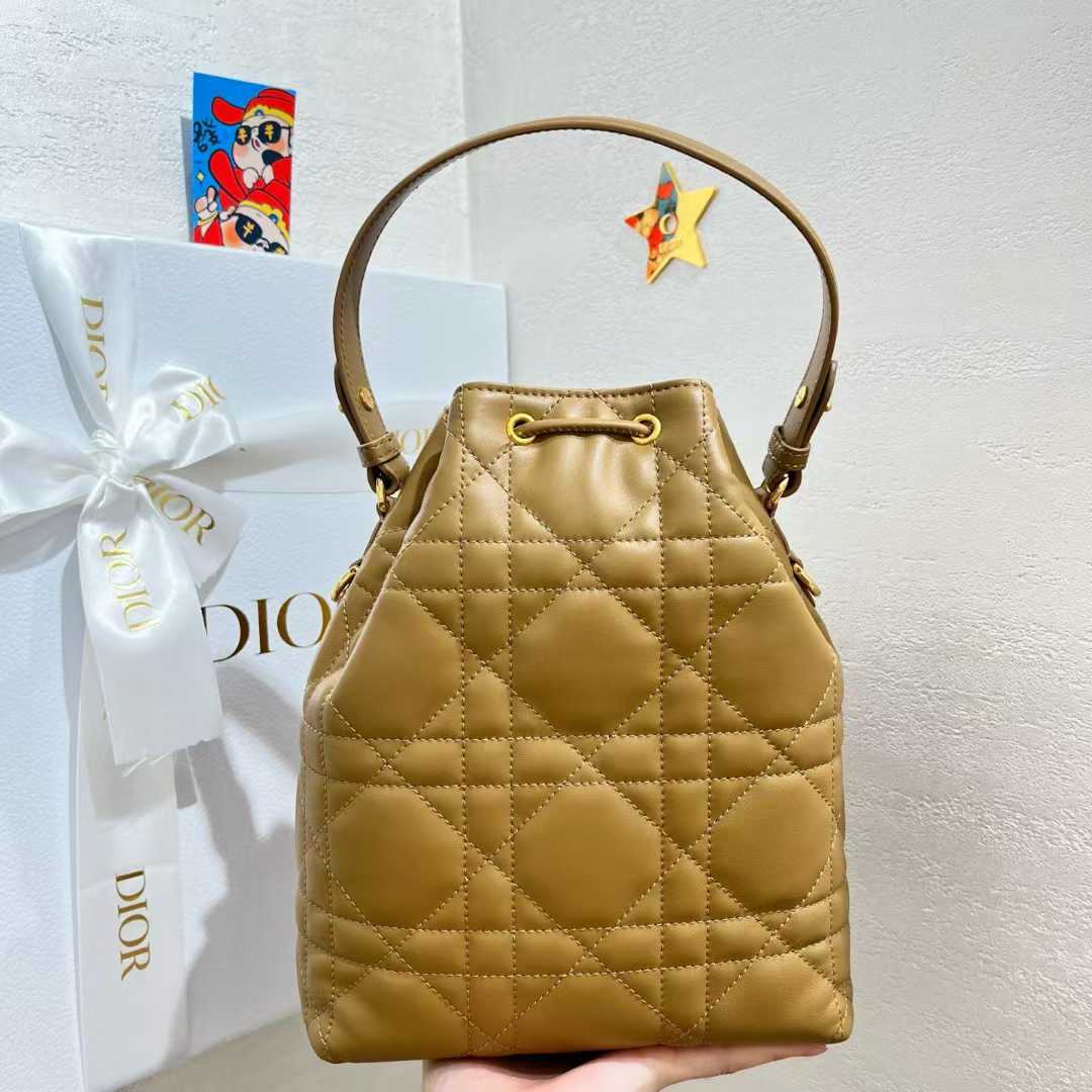 Dior Small Caro Bucket Bag view 2