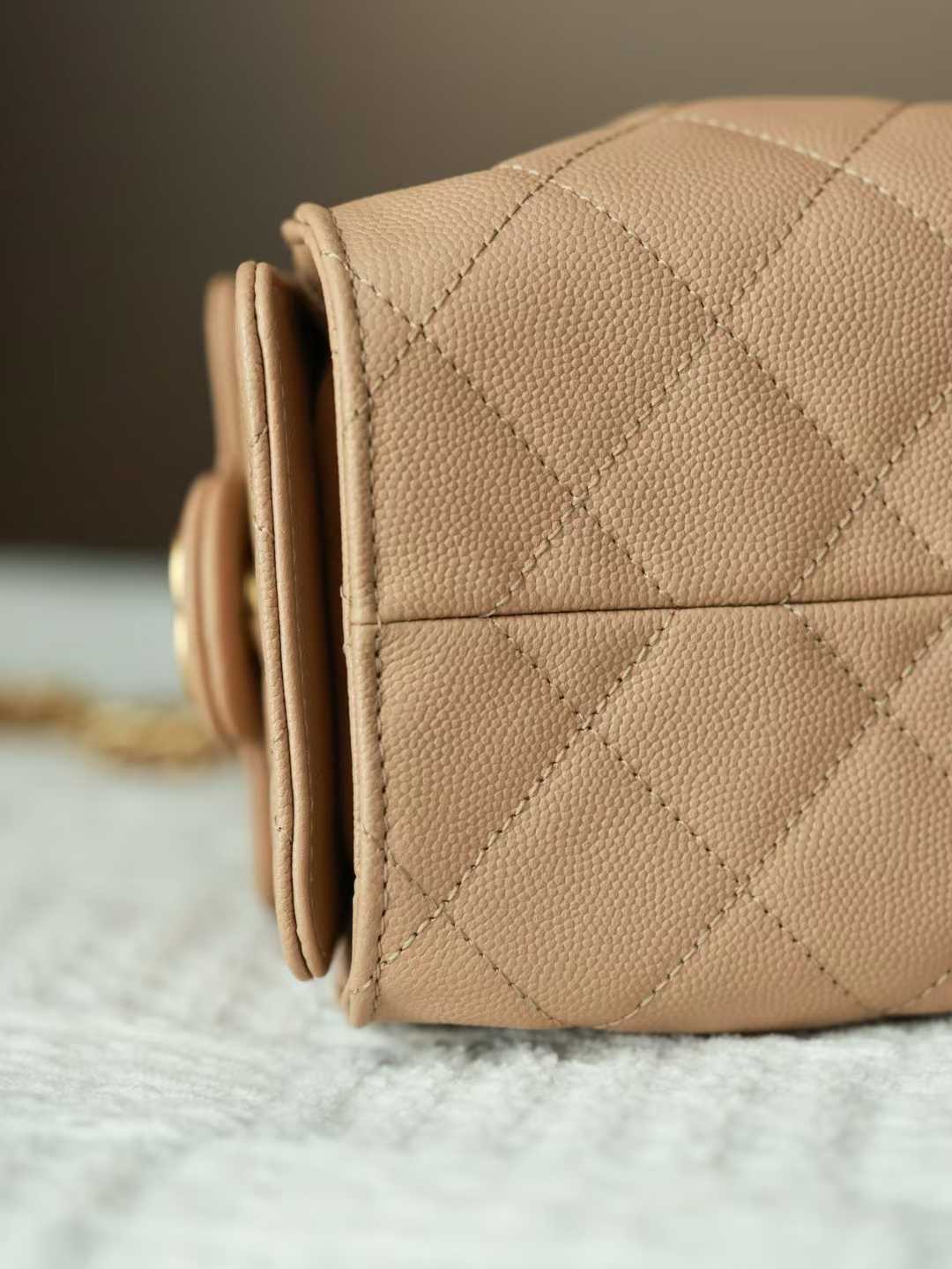 Chanel 25 Mini Handbag view 8