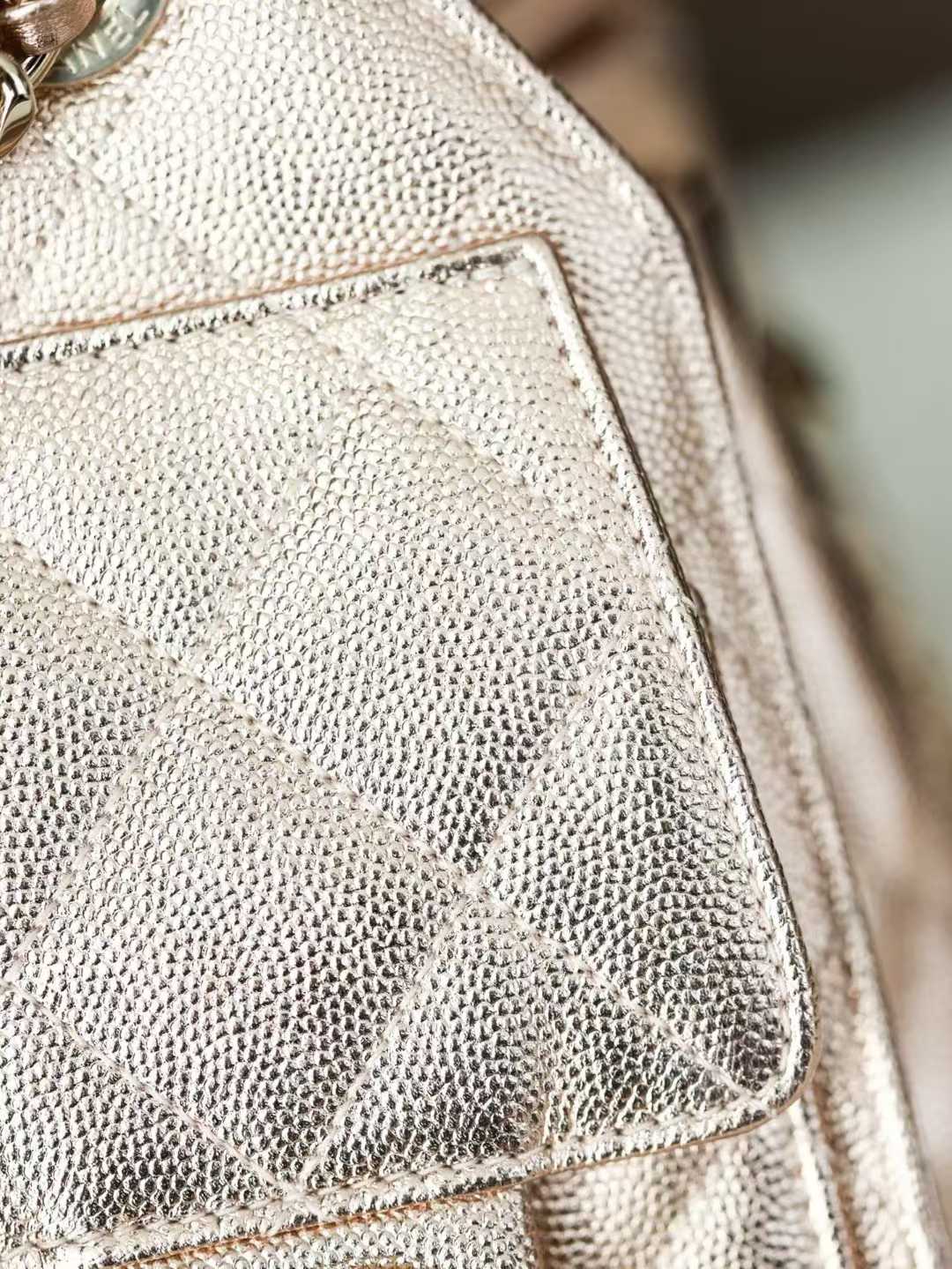 Chanel 25 Mini Handbag view 9