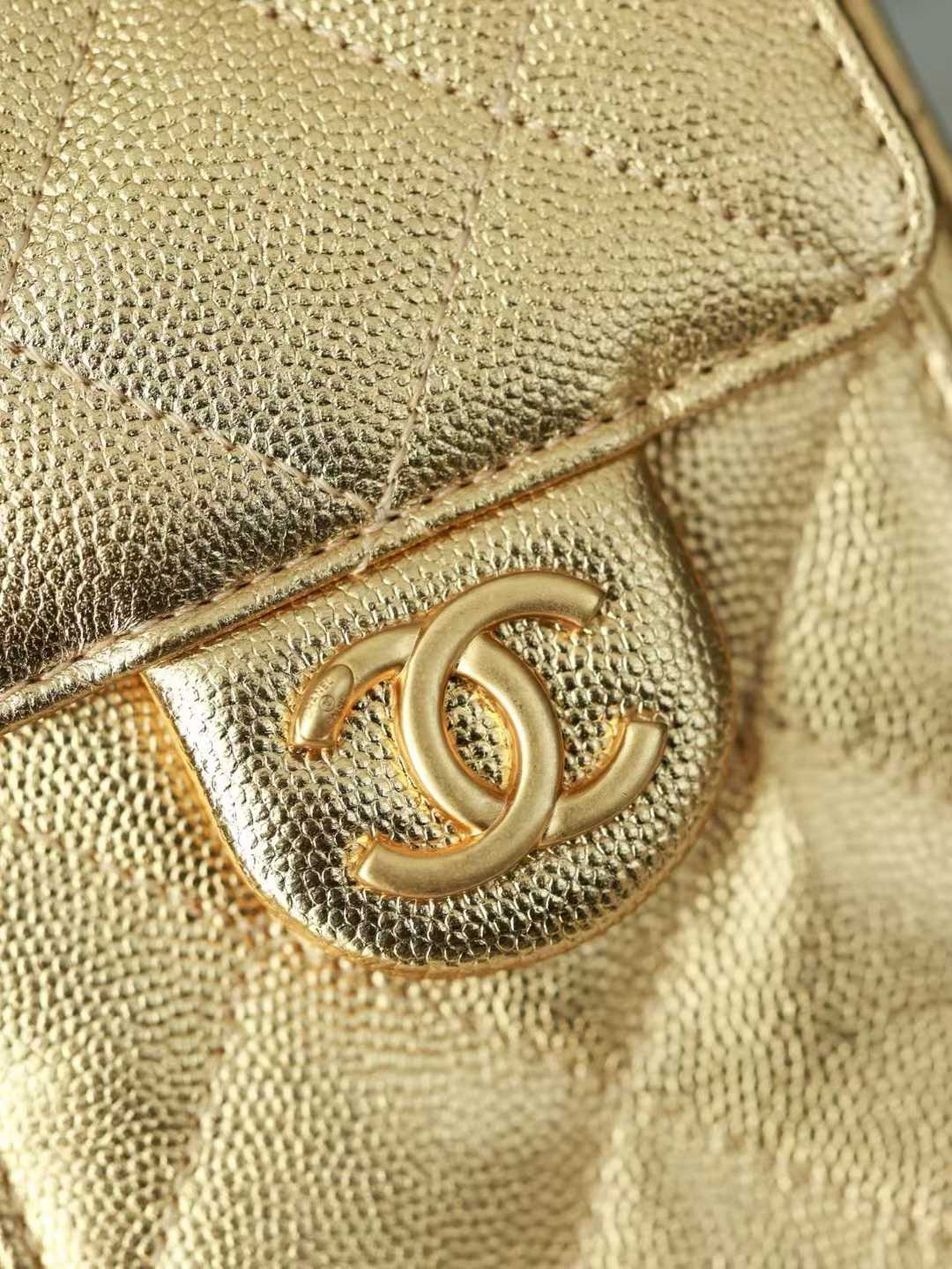 Chanel 25 Mini Handbag view 9