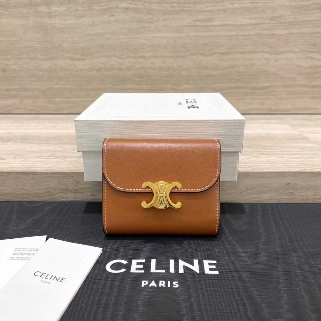 Celine Small Flap Wallet TRIOMPHE IN NUBUCK CALFSKIN view 1