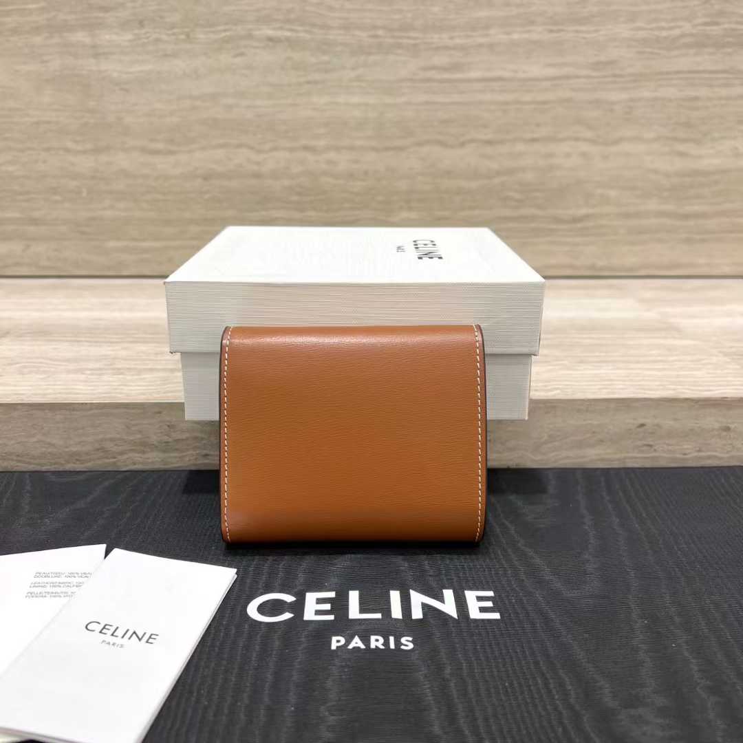 Celine Small Flap Wallet TRIOMPHE IN NUBUCK CALFSKIN view 2