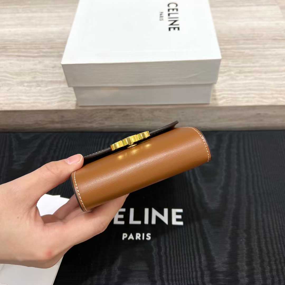 Celine Small Flap Wallet TRIOMPHE IN NUBUCK CALFSKIN view 3