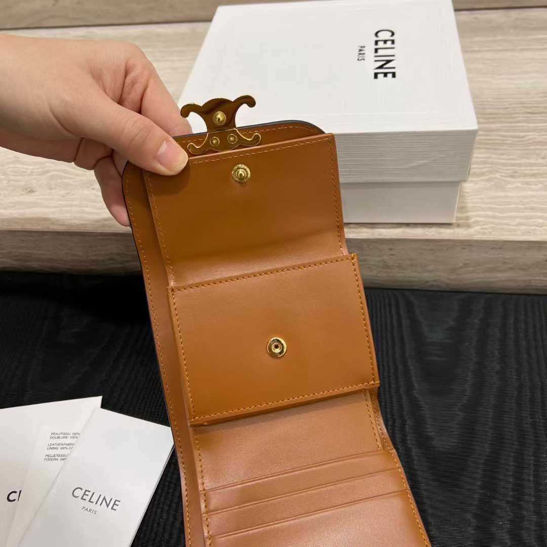 Celine Small Flap Wallet TRIOMPHE IN NUBUCK CALFSKIN view 4