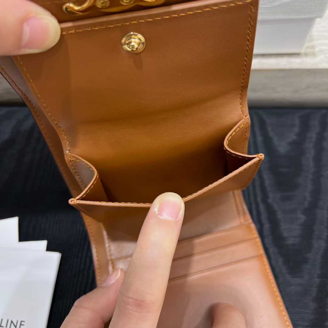 Celine Small Flap Wallet TRIOMPHE IN NUBUCK CALFSKIN view 5