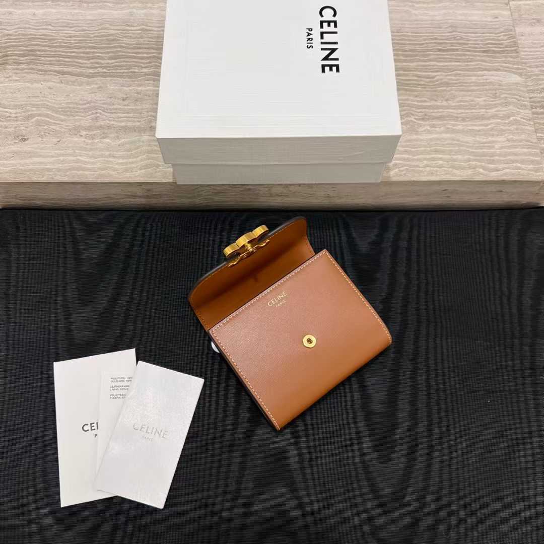 Celine Small Flap Wallet TRIOMPHE IN NUBUCK CALFSKIN view 6