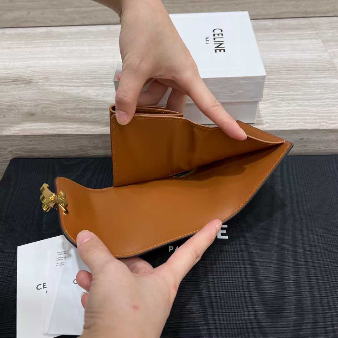 Celine Small Flap Wallet TRIOMPHE IN NUBUCK CALFSKIN view 7