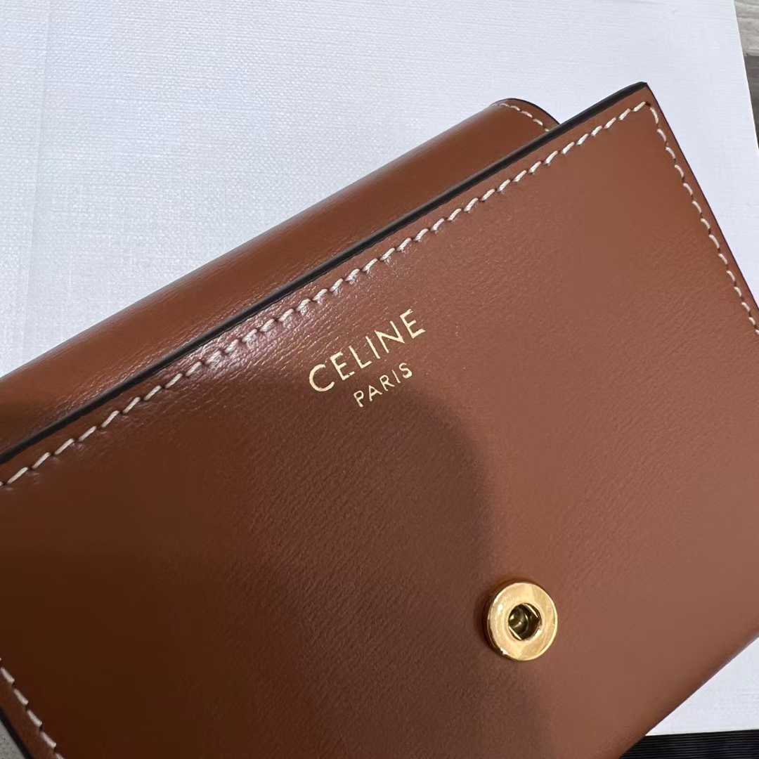 Celine Small Flap Wallet TRIOMPHE IN NUBUCK CALFSKIN view 9