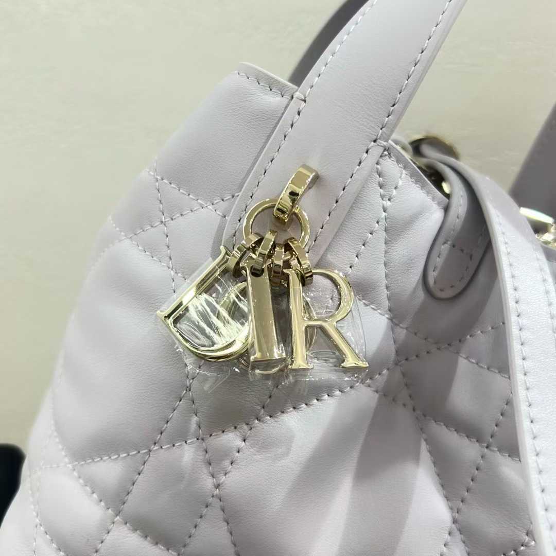 Dior Toujours Vertical Tote Bag view 7