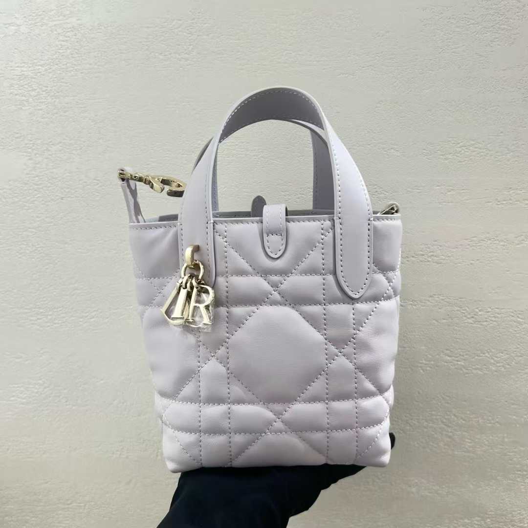 Dior Toujours Vertical Tote Bag view 9