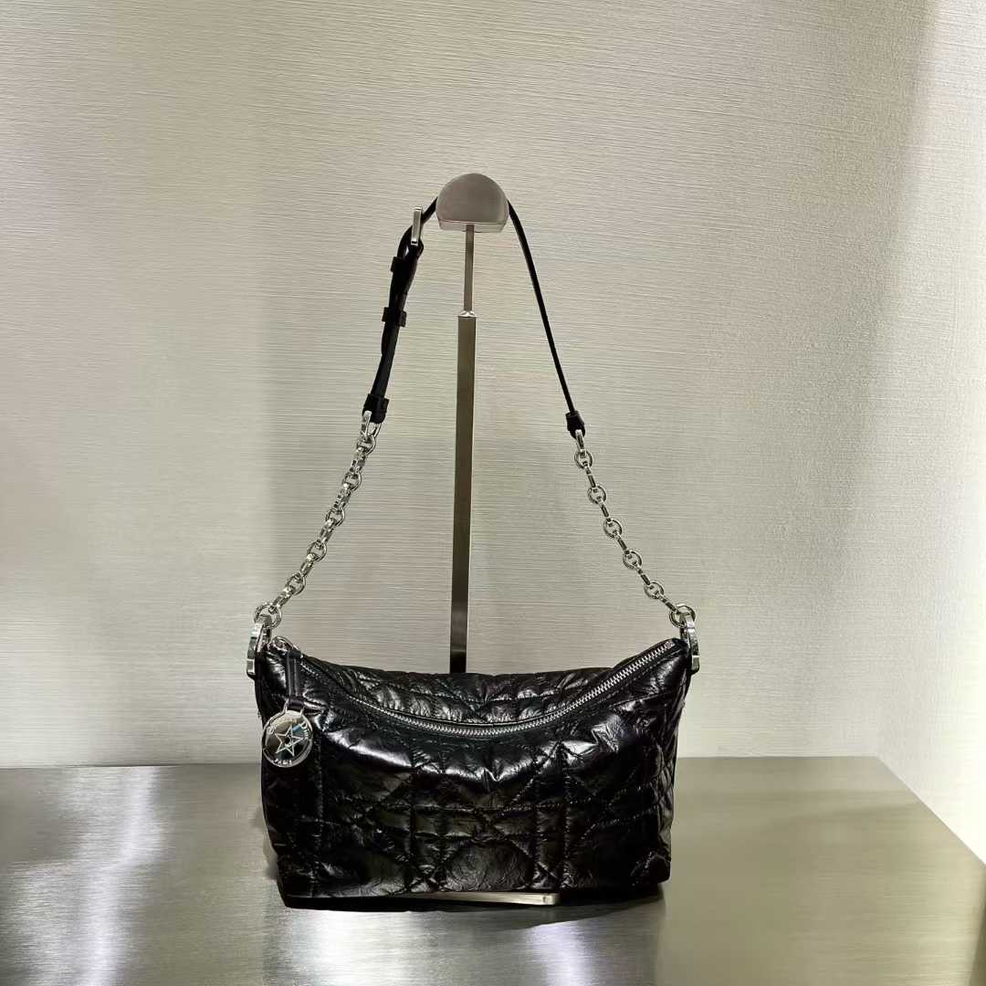 Dior Star Hobo view 1