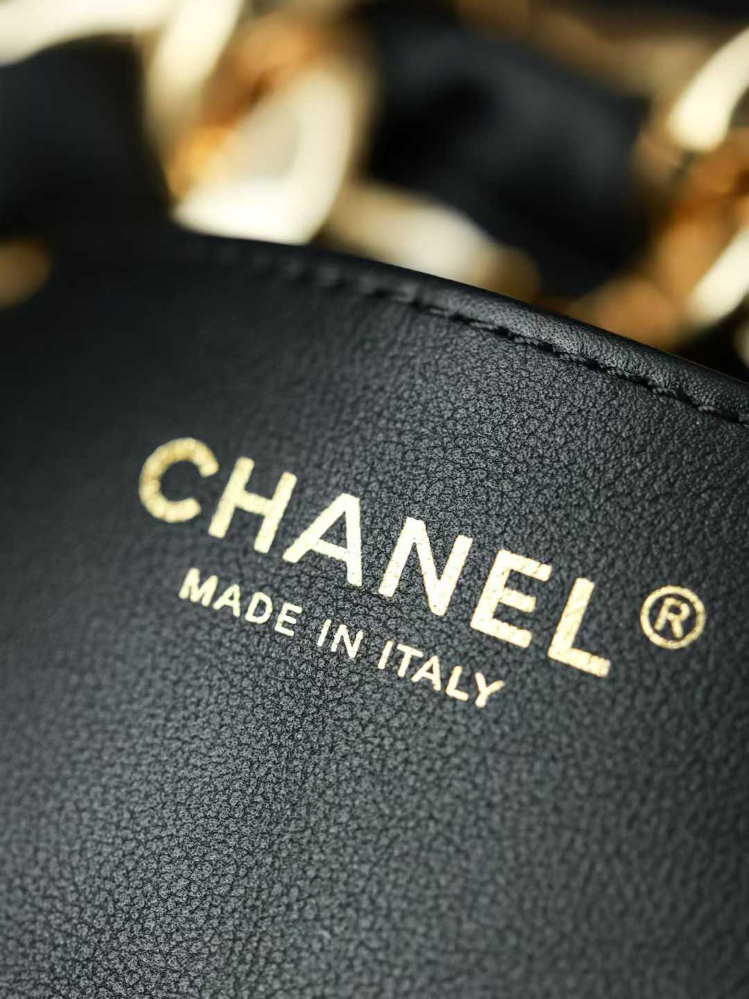 Chanel Hobo Bag view 6