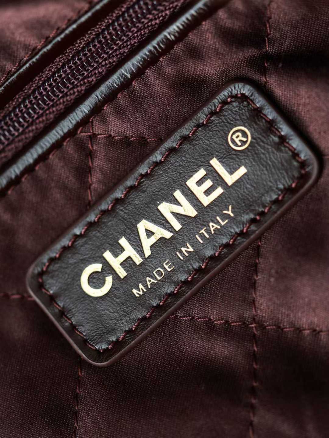 Chanel 22s Shopping Bag view 7