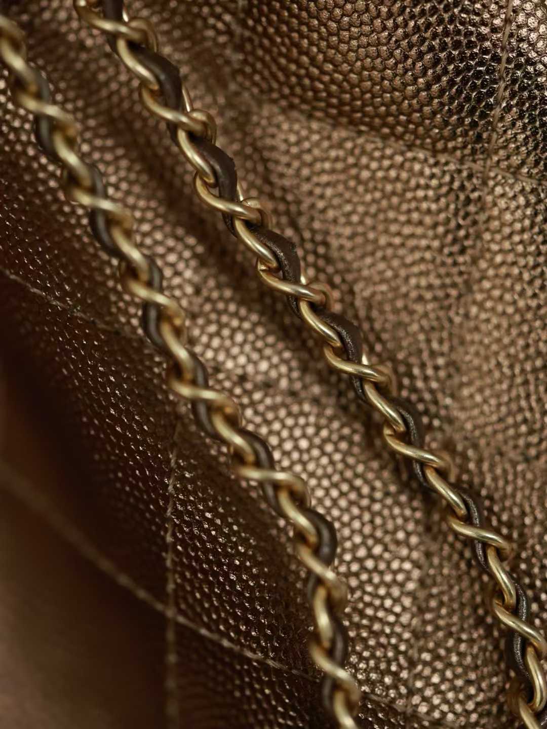 Chanel 25 Mini Handbag view 8