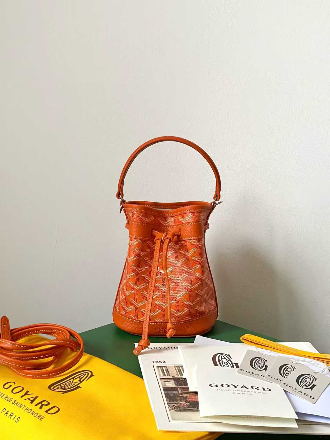 Goyard Petit Flot Mini bucket bag view 9