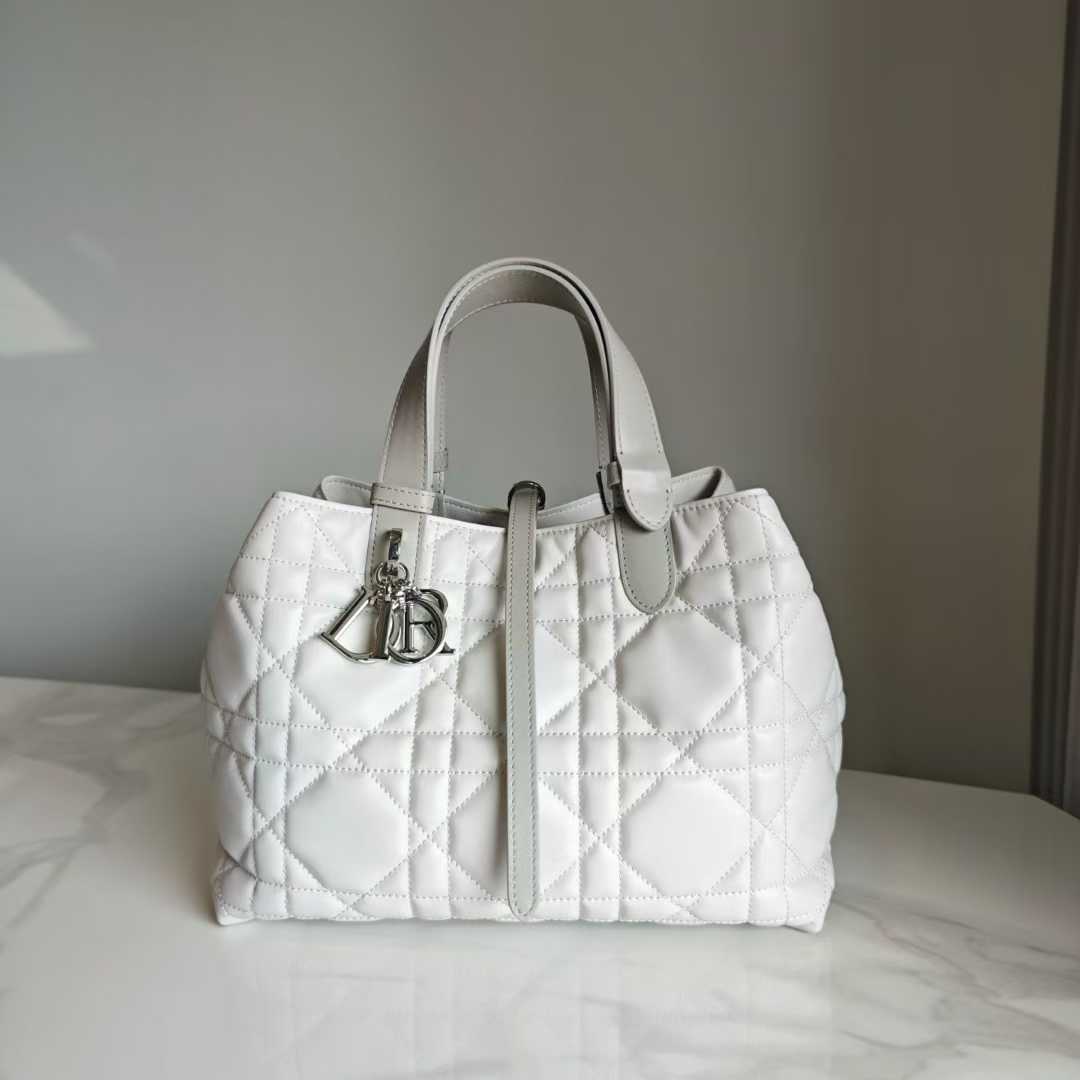 Dior Toujours Vertical Tote Bag view 1