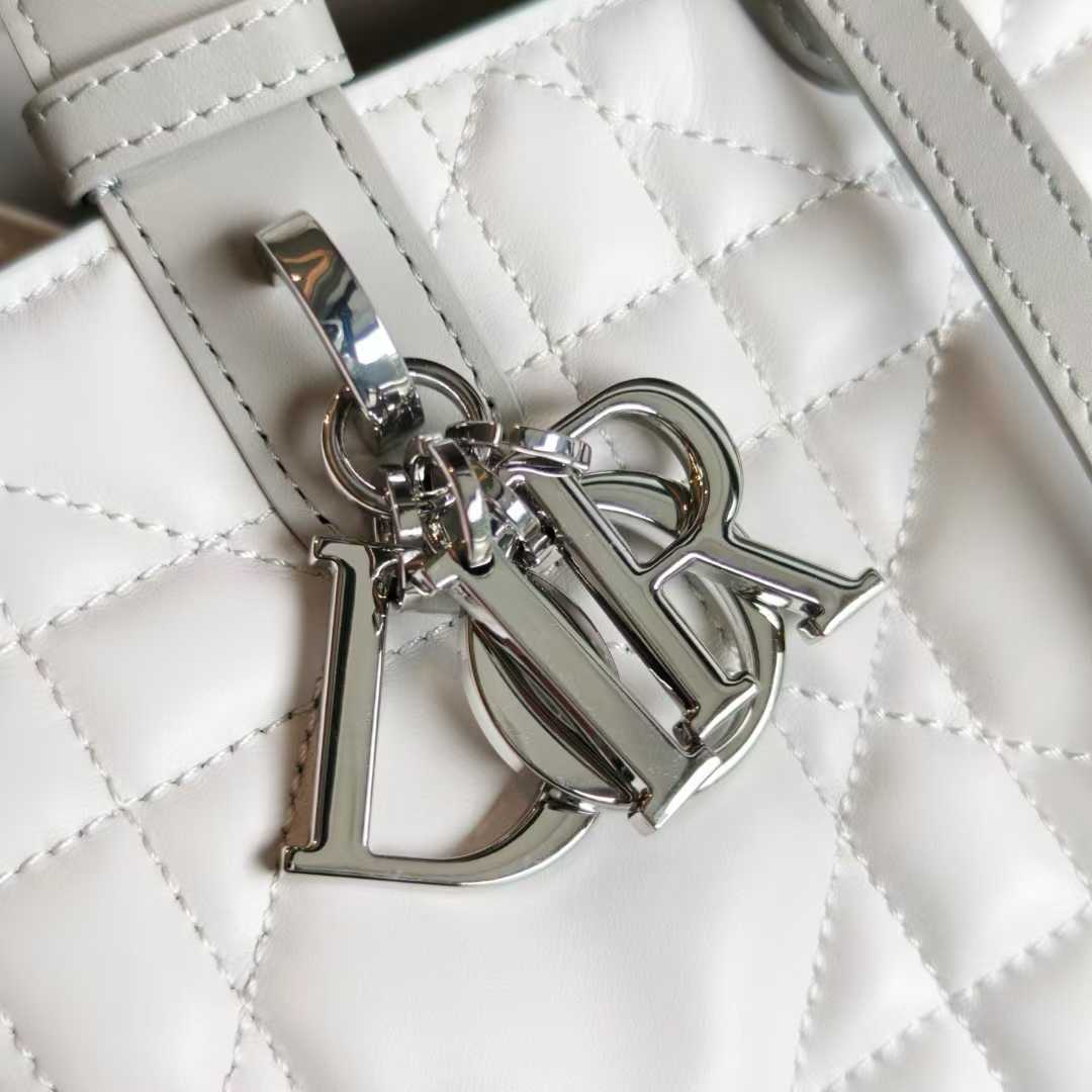 Dior Toujours Vertical Tote Bag view 5