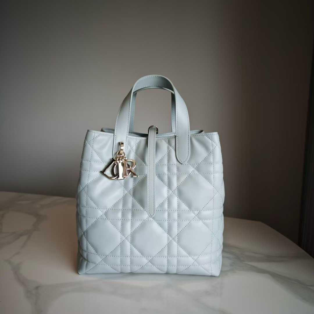 Dior Toujours Vertical Tote Bag view 1