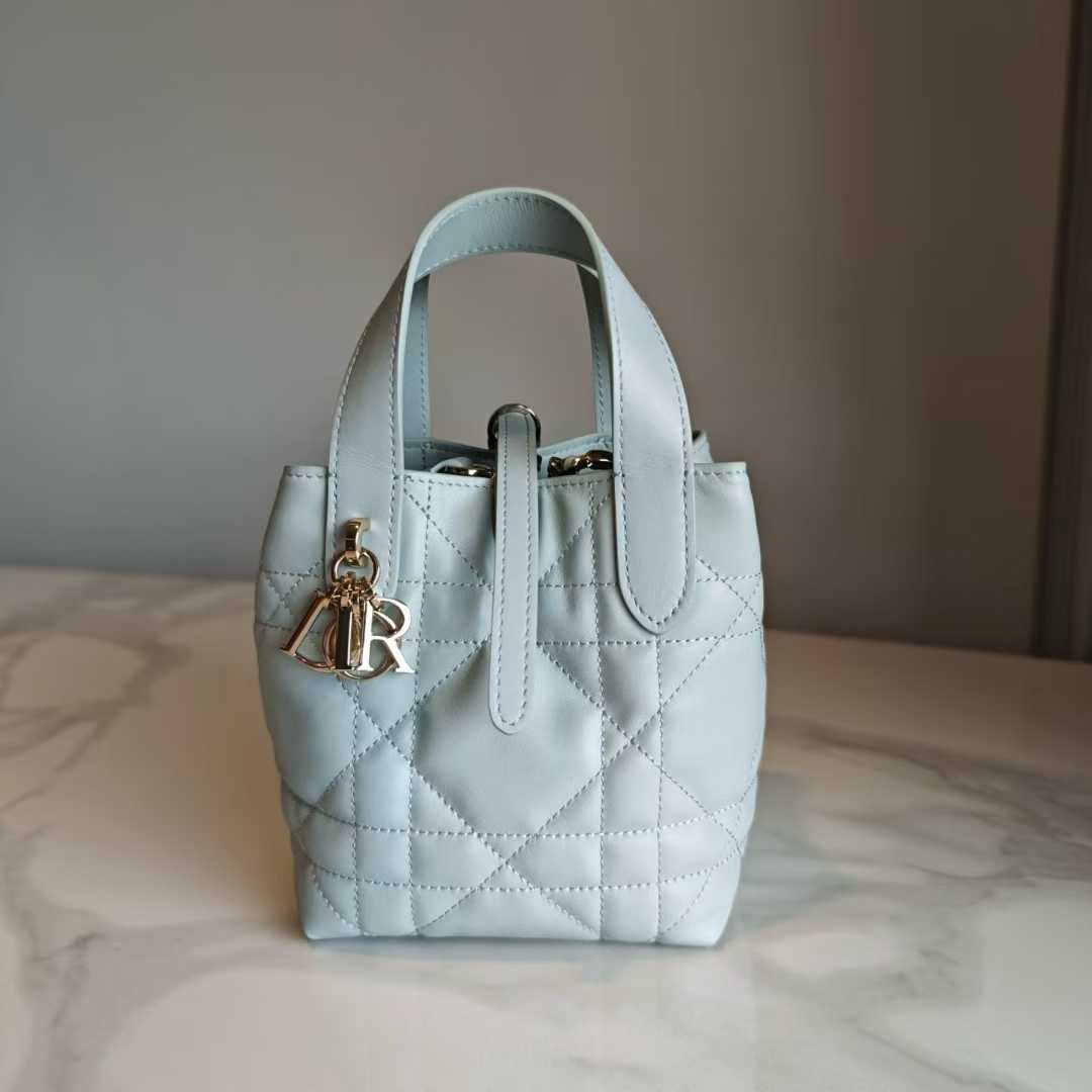 Dior Toujours Vertical Tote Bag view 10
