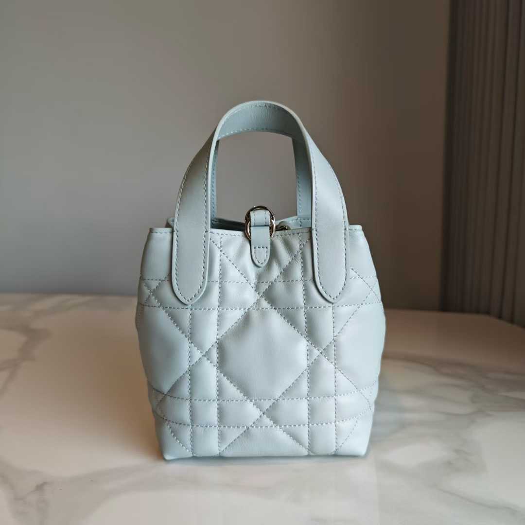 Dior Toujours Vertical Tote Bag view 11