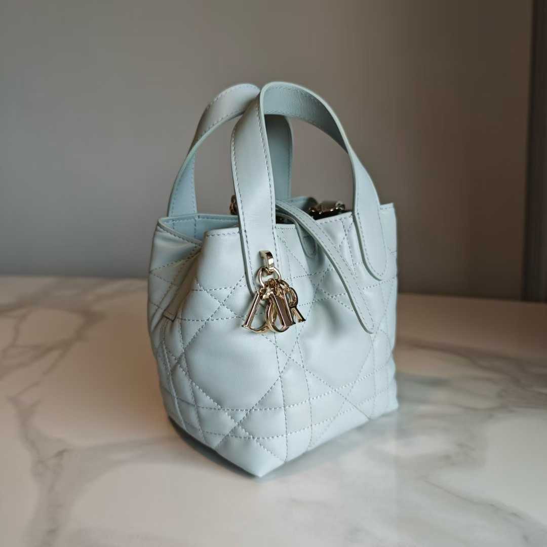 Dior Toujours Vertical Tote Bag view 12