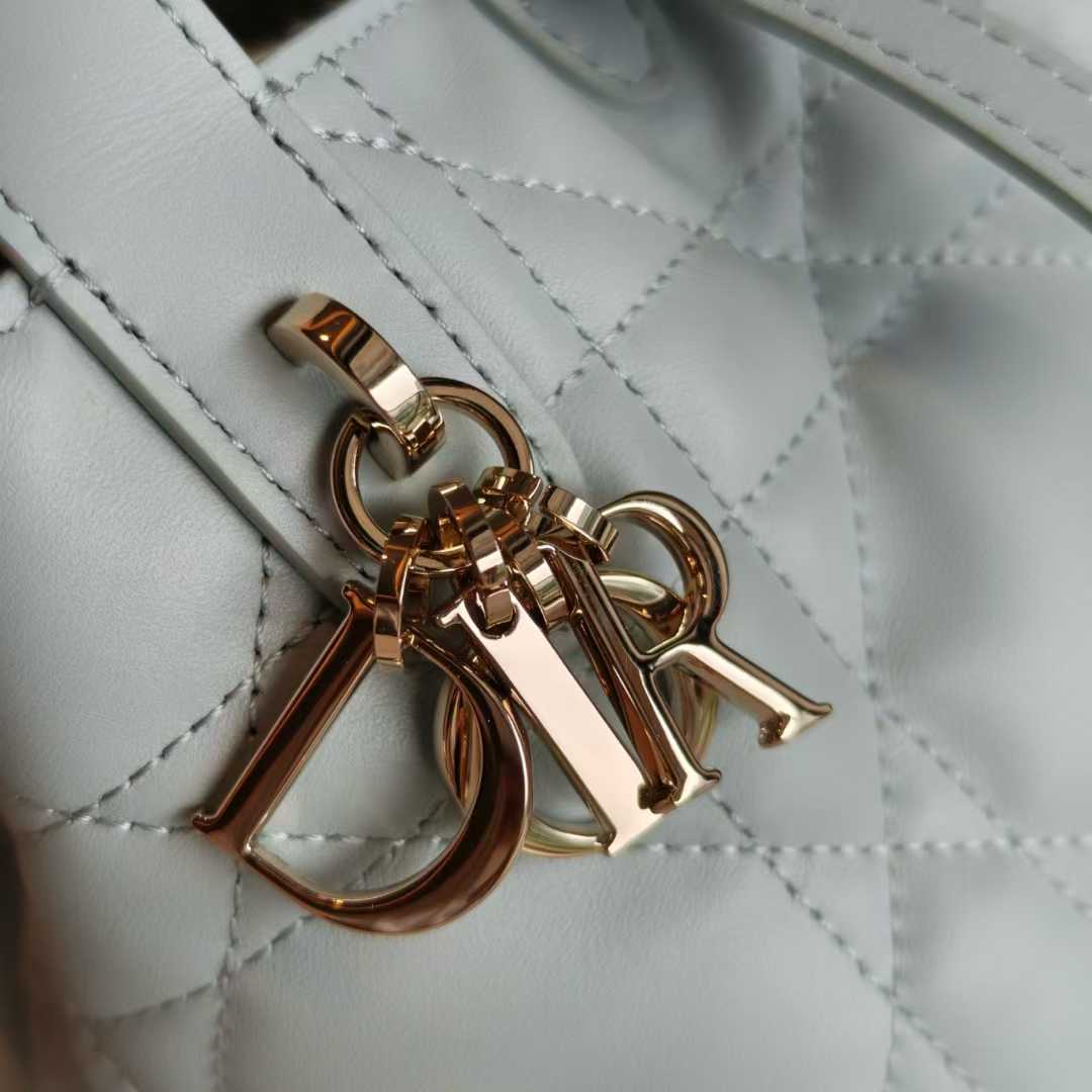 Dior Toujours Vertical Tote Bag view 15