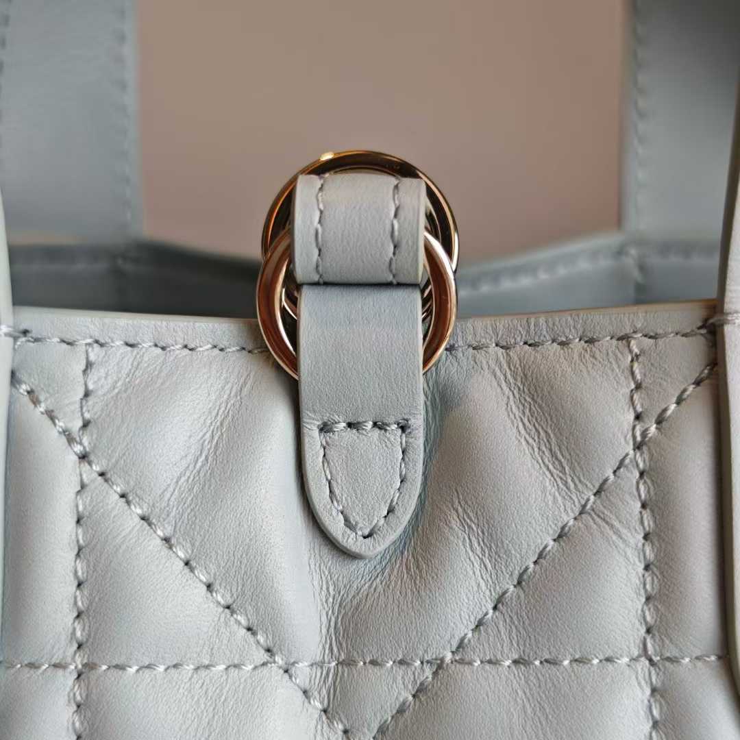 Dior Toujours Vertical Tote Bag view 16