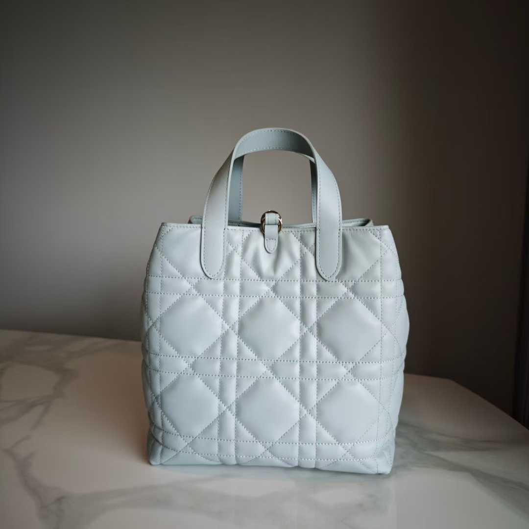 Dior Toujours Vertical Tote Bag view 2