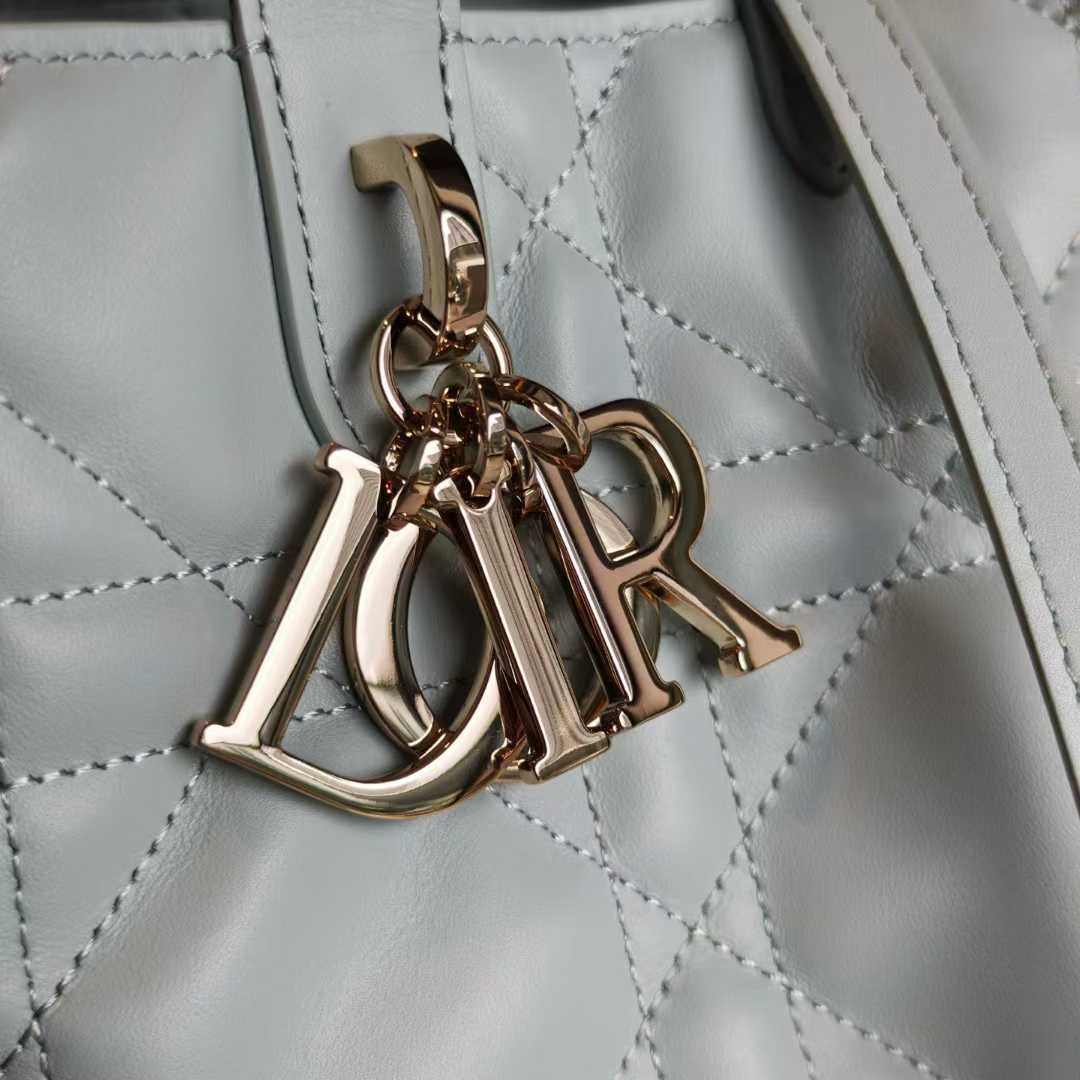 Dior Toujours Vertical Tote Bag view 7