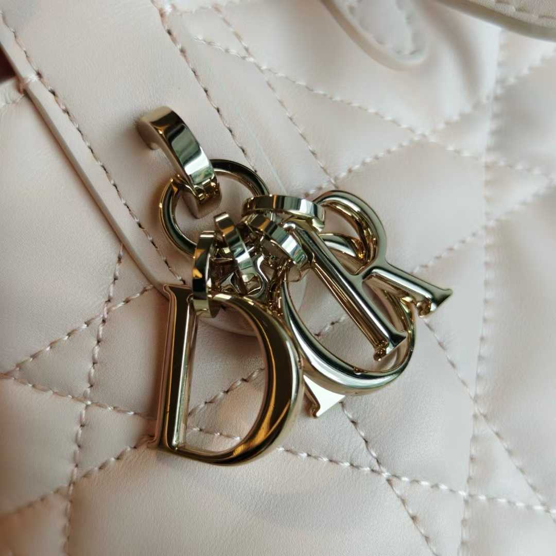 Dior Toujours Vertical Tote Bag view 11