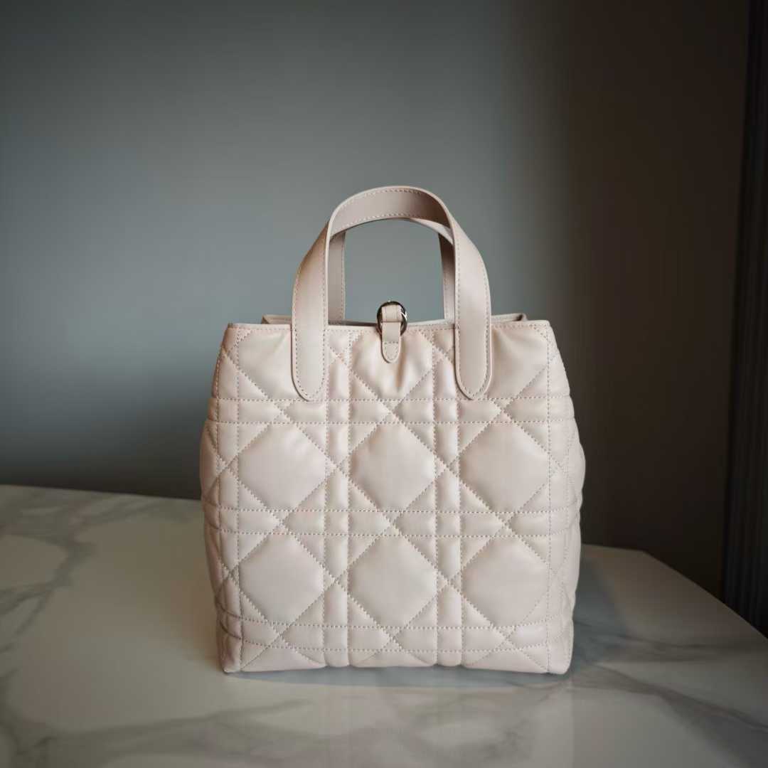 Dior Toujours Vertical Tote Bag view 4