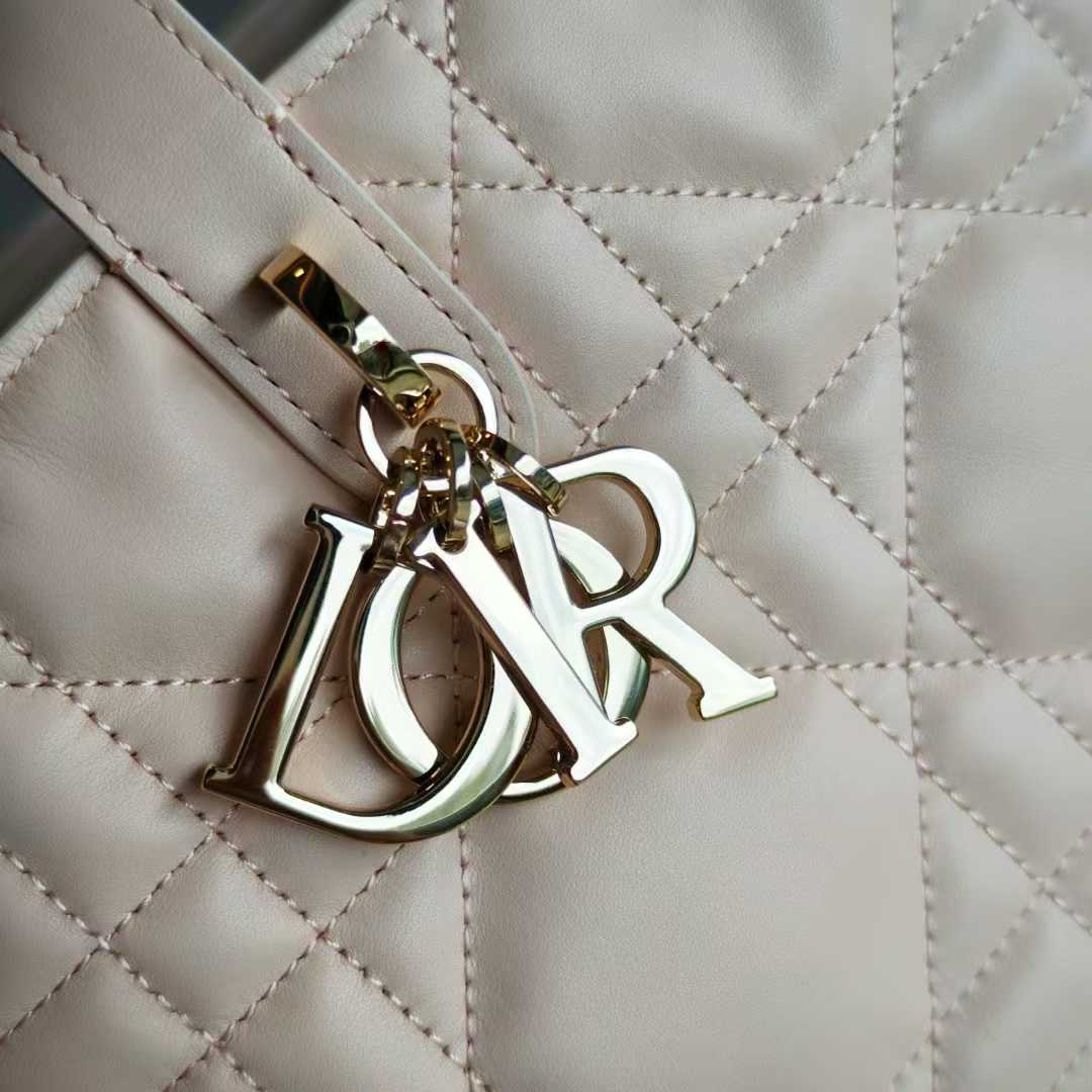 Dior Toujours Vertical Tote Bag view 8
