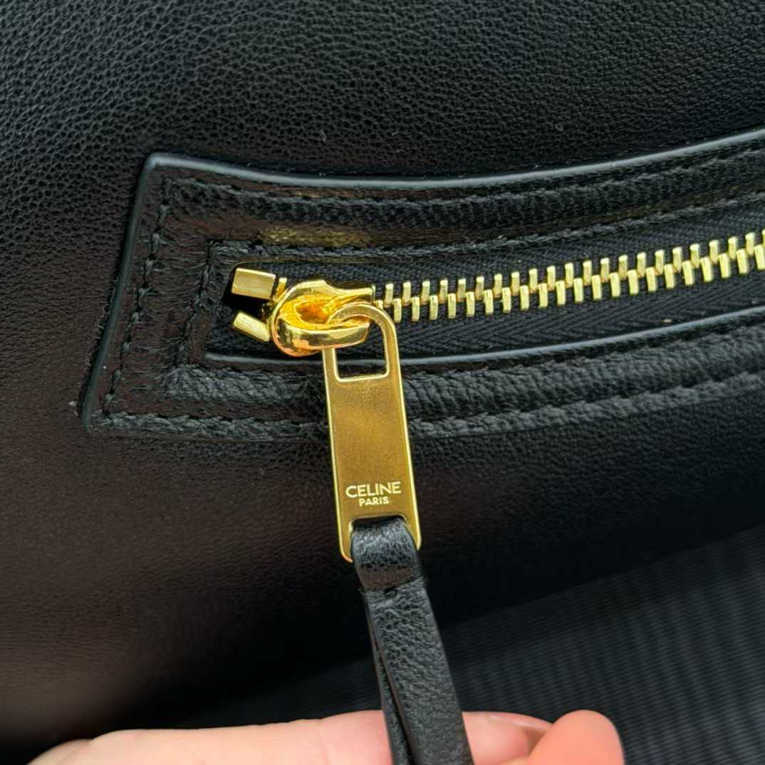 Celine Medium New Luggage In Supple Shiny Lambskin view 7