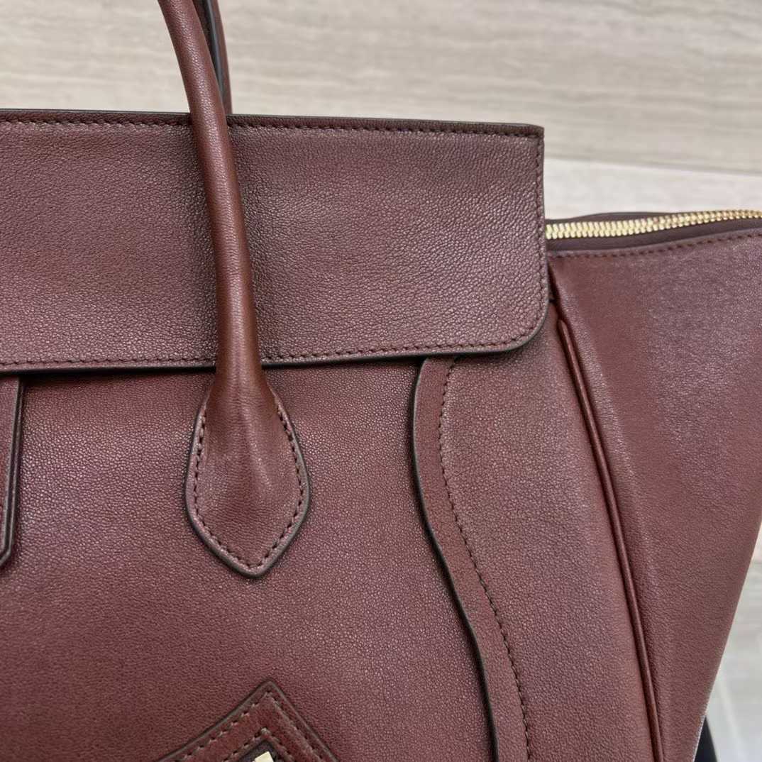 Celine Medium New Luggage In Supple Shiny Lambskin view 4