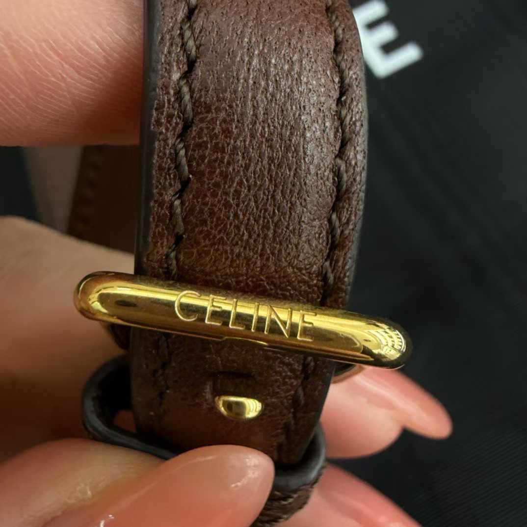Celine Medium New Luggage In Supple Shiny Lambskin view 6