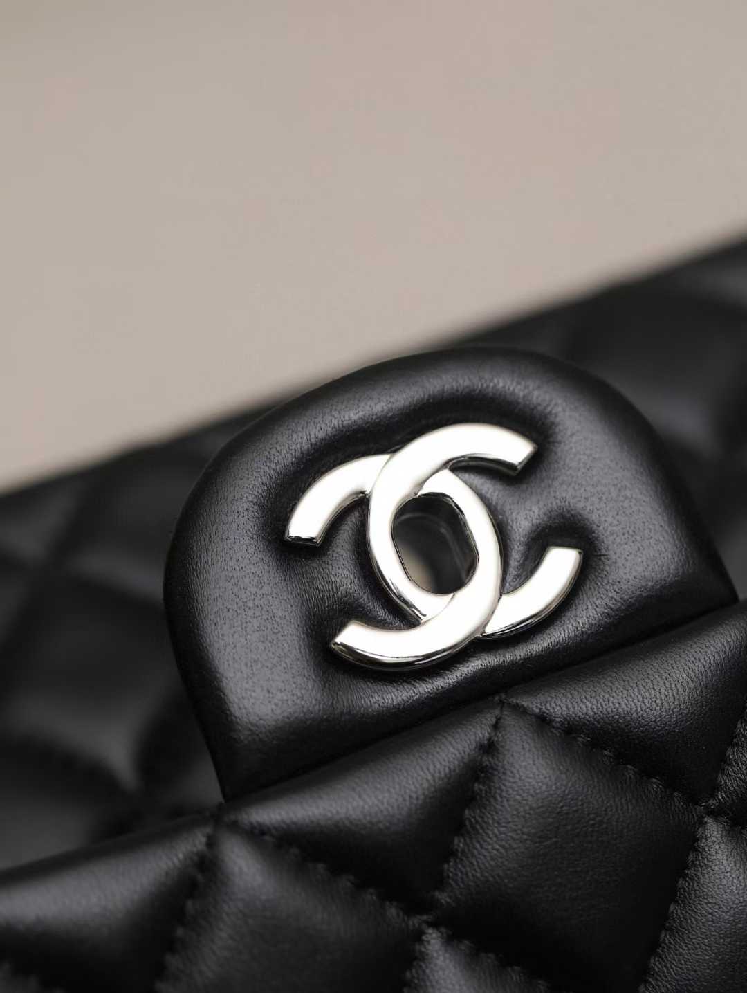 Chanel Flap bags view 15