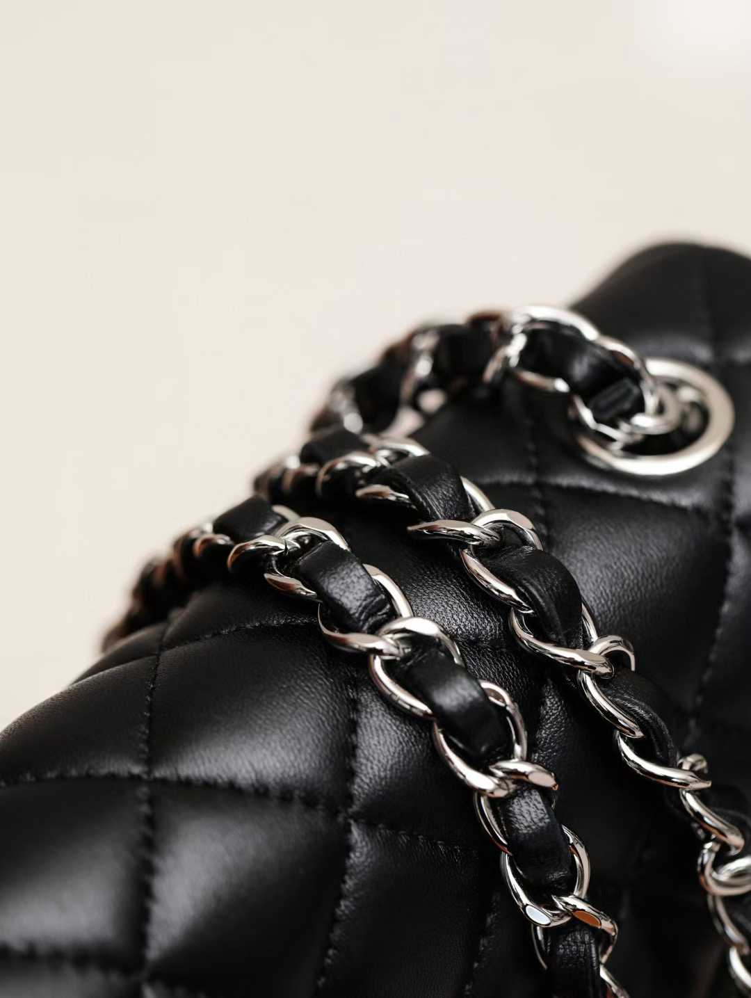 Chanel Flap bags view 16