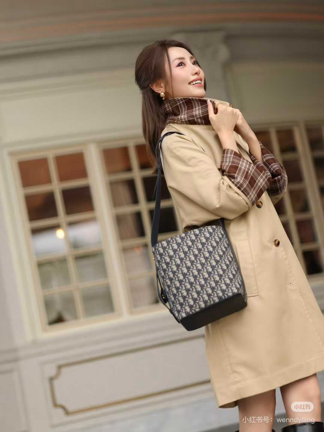 Dior Small star Bucket Bag view 9